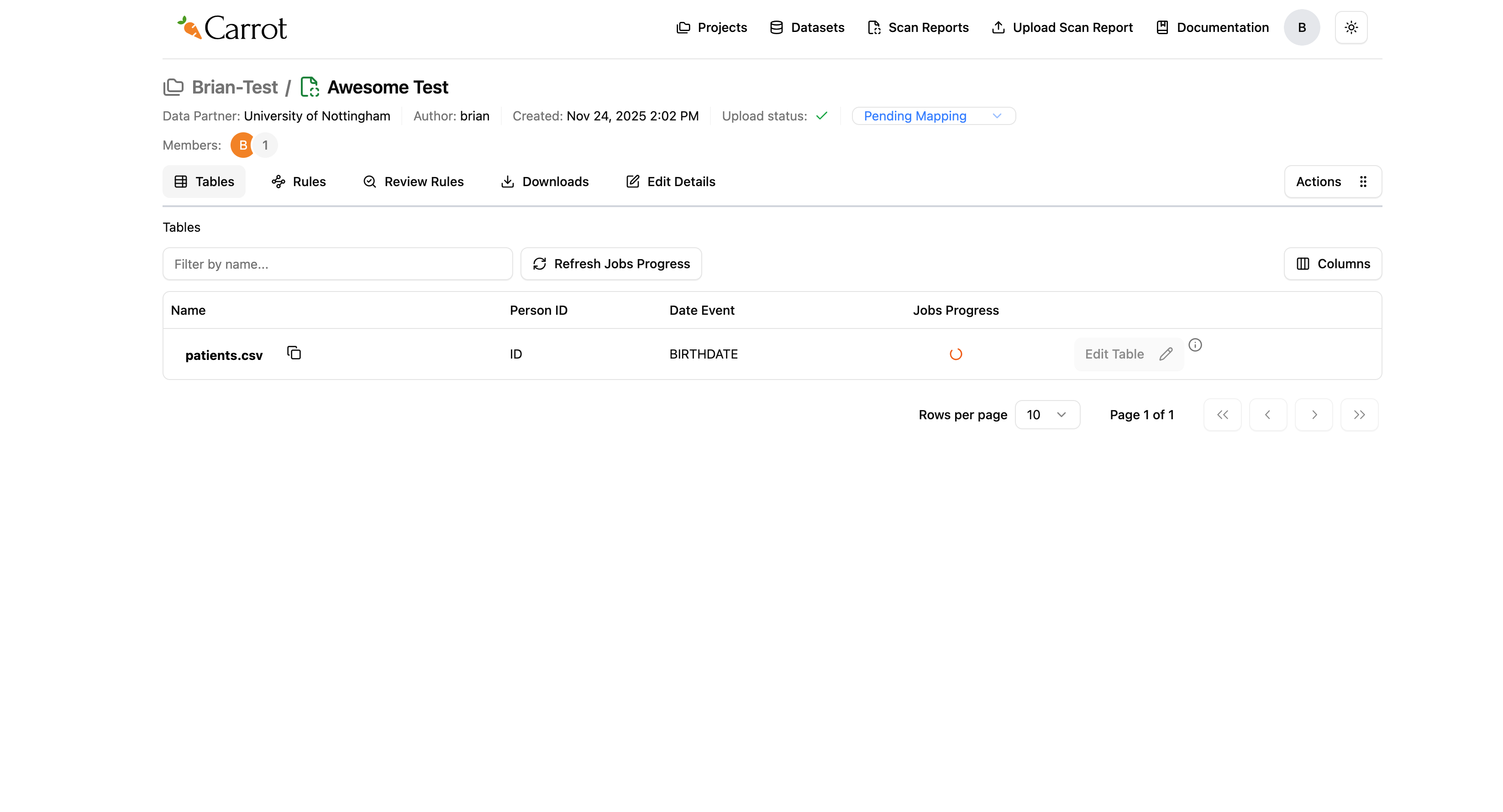 Carrot Mapper Auto-Mapping in Progress